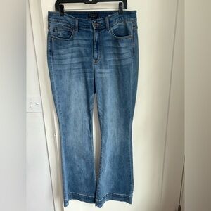 Judy Blue Light Blue Flare Jeans